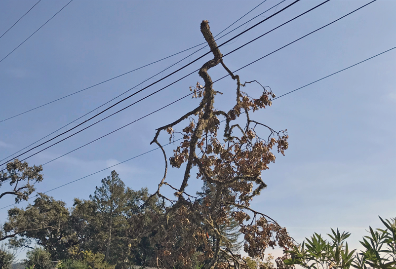 PG&E